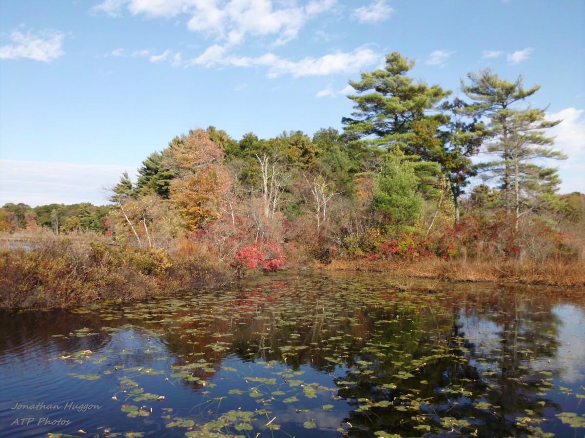 Autumn Reflections - Stony Brook Wildlife Sanctuary - Norfolk MA - Copy