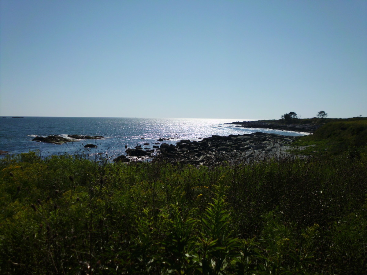 Tranquil Waters at Sachuest Point - RI