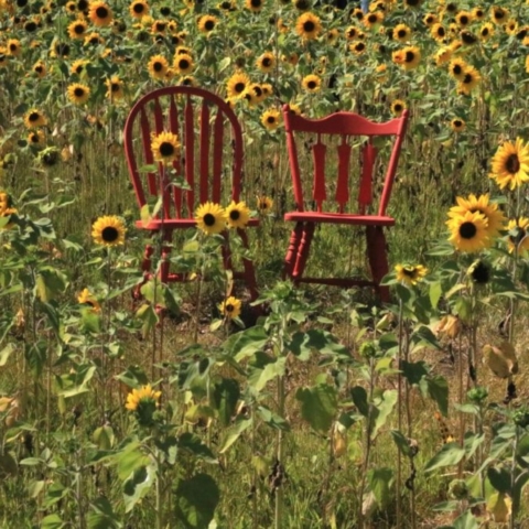 Two Chairs. Photo by Jonathan Huggon.