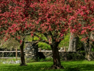 Spring at Colt State Park