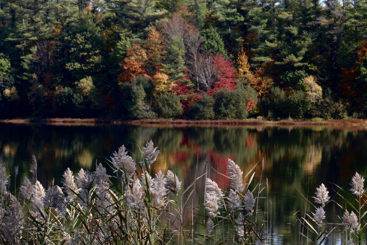 Autumn Reflections. Photo by Jonathan Huggon