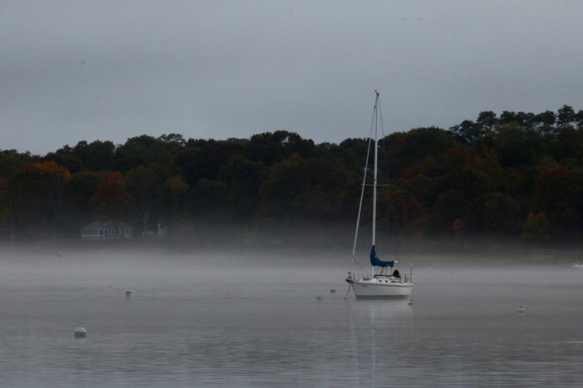 Misty Morning. Photo by Jonathan Huggon