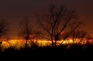 Skyfire Skyfire. Photo by Jonathan Huggon