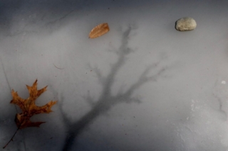 Winter Abstraction No. 1. Photo by Jonathan Huggon. Winter Abstraction No. 1. Photo by Jonathan Huggon.
