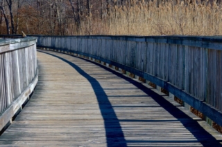 Wooden Bridge in Deep Winter. Photo by Jonathan Huggon. Wooden Bridge in Deep Winter. Photo by Jonathan Huggon.