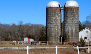 Two Silos and Three Horses. Photo by Jonathan Huggon. Two Silos and Three Horses. Photo by Jonathan Huggon.