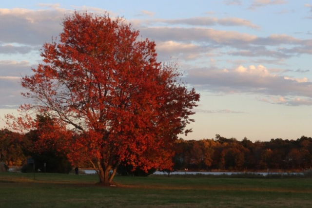 Perfect Fall Day. Photo by Jonathan Huggon.