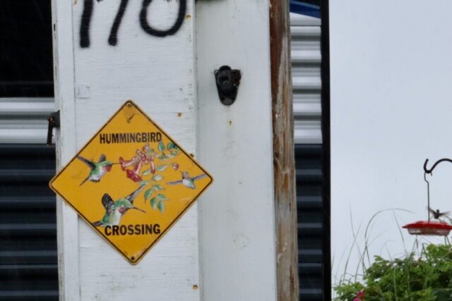 Hummingbird Crossing. Photo by Jonathan Huggon.